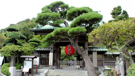 Lawatan Sehari Kamakura: Kuil Hasedera + Stesen Kamakura Kokomae + Kuil Tsurugaoka Hachimangu