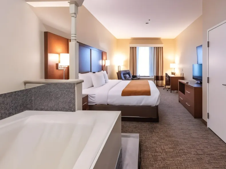 Comfort Suites Near Texas Medical Center - NRG Stadium