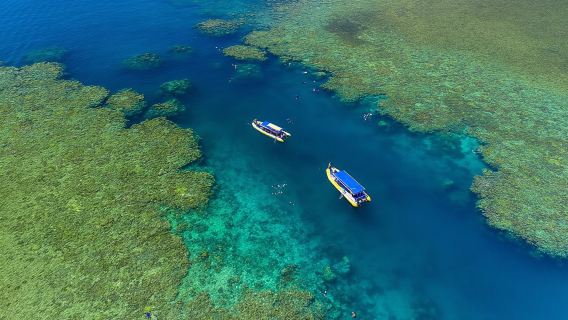 Airlie BeachTours
