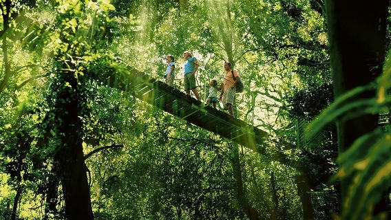 Lamington National Park, O'Reilly's & Vineyard Tour