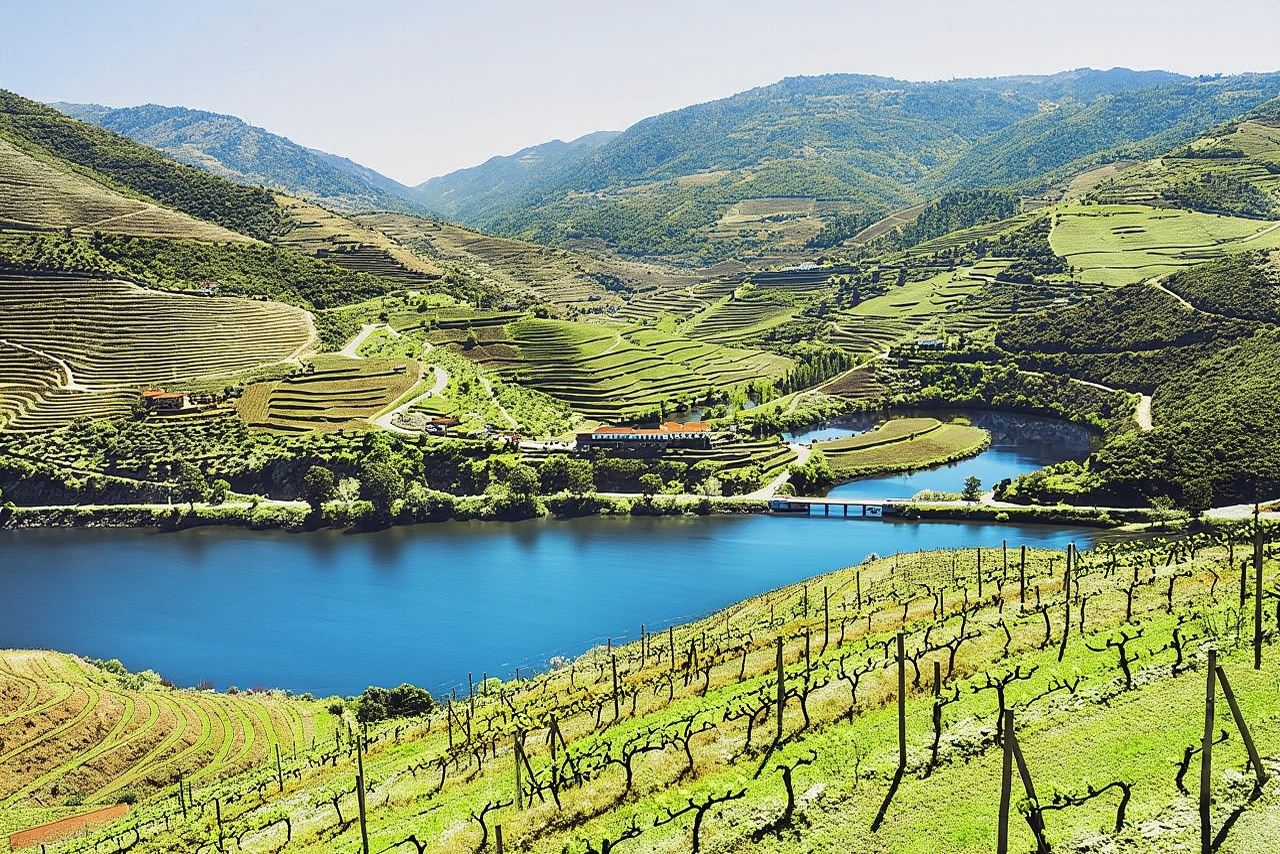 Authentic Small Group Douro Wine Tour with Lunch & River Cruise