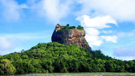 Private Trip Sigiriya Dambulla and safari from Colombo or Negombo