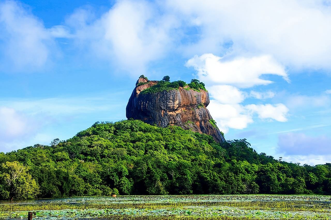 Private Trip to Sigiriya, Dambulla & safari from Colombo/ Negombo