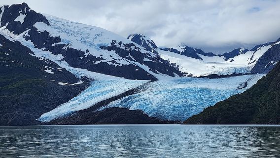Valley of Glaciers Experience with Portage Glacier Cruise and Wildlife Tour