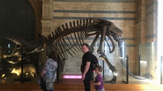 London : The Natural History Museum Guided Tour