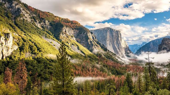 Overnight Yosemite tour with stay at Valley Lodge