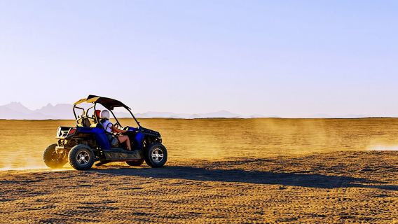 Morning Sand Buggy Experience Plus Bedouin Tea Tasting in Sharm Desert