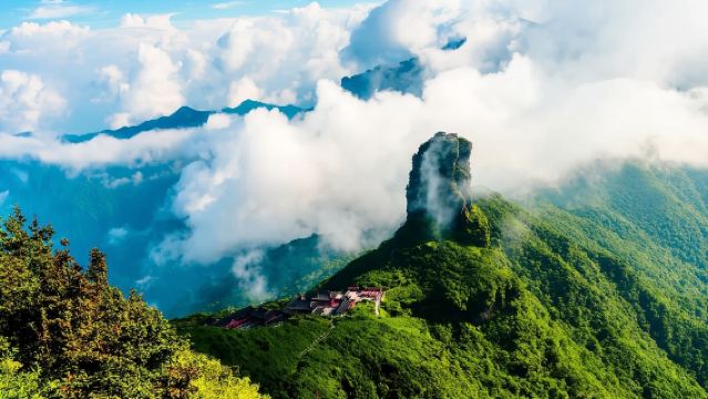 貴州梵淨山自然保護區【包車遊/拍1份就是1輛車/上門接送】