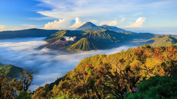 Indonesia + Saibu Waterfall + Mount Bromo@