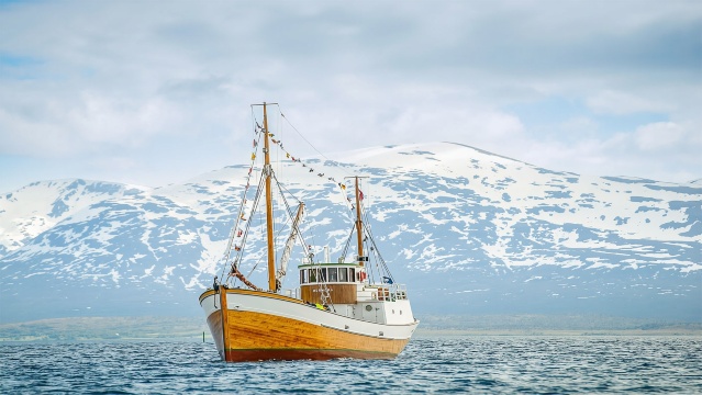 Fishing experience in Tromso Fjords, Norway (multiple cruise options available)