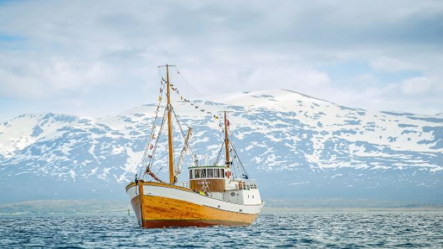 Fishing experience in Tromso Fjords, Norway (multiple cruise options available)