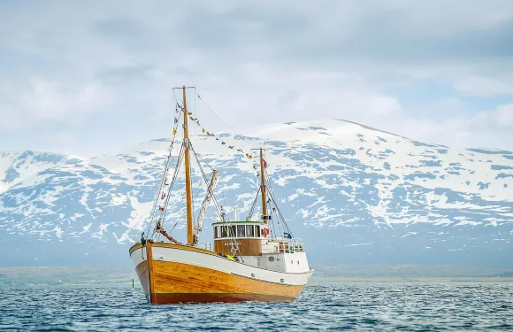 挪威特羅姆瑟峽灣出海海釣體驗（多種遊船可選）