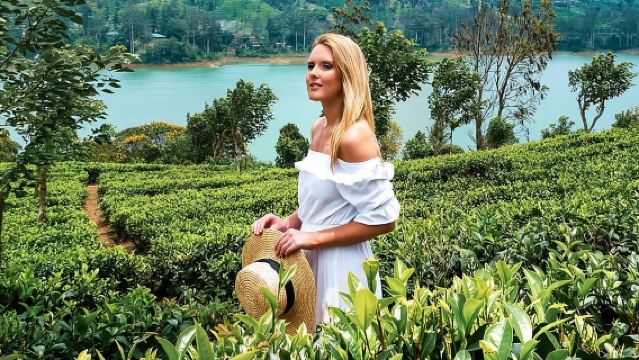 Excursión de un día de Kandy a Nuwara Eliya