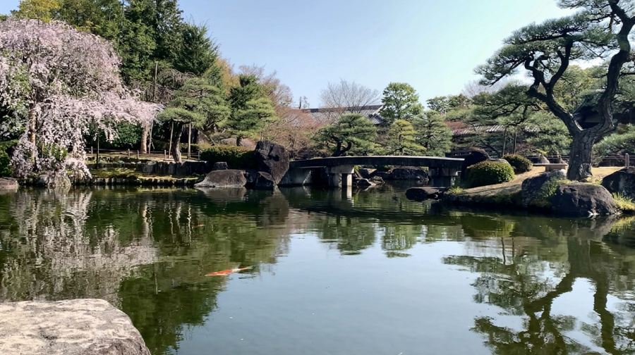 姬路城+好古園+有馬溫泉鄉+六甲山一日遊