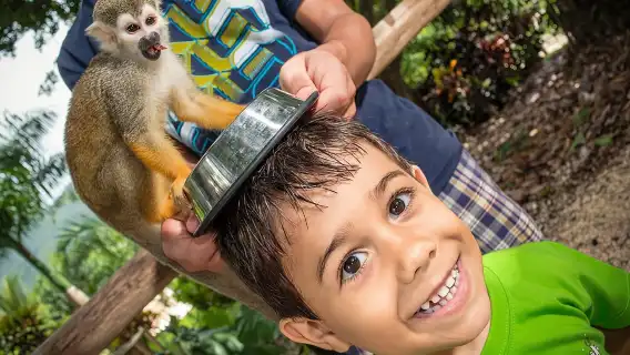 Jungle Buggies and Monkeyland from Punta Cana