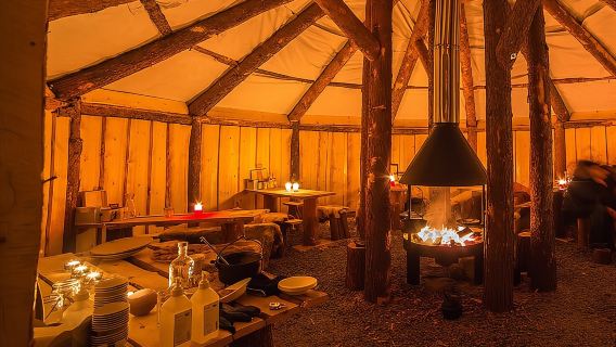 Night reindeer sledding with dinner and northern lights