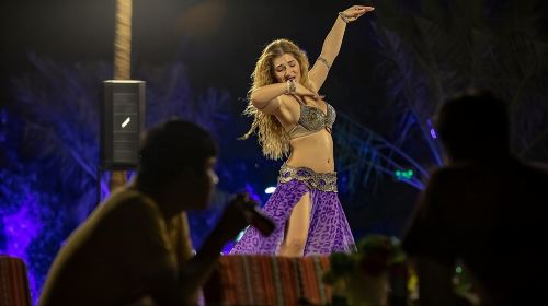 Dubai: Safari With Live BBQ Dinner, Camel Ride ,Live Performances Day Tours 2
