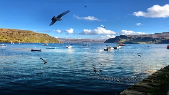 스카이섬+일레인 도넌 성+네스호 일일 투어 [인버네스 왕복/영어 가이드]