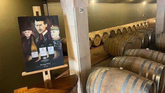 Le Cap : sensibilisation aux guépards, rencontre avec les girafes et visite des vignobles