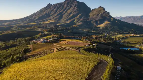 เคปทาวน์: ทัวร์ไวน์ส่วนตัวพร้อมชิมไวน์และอาหารกลางวัน