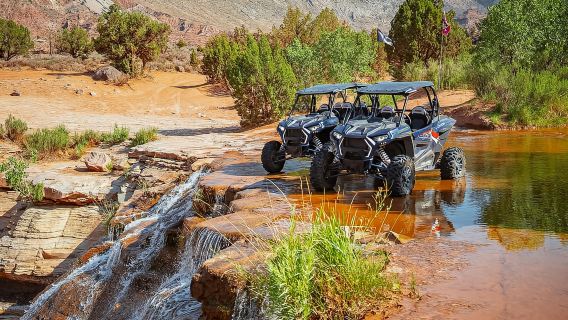Greater Zion: UTV Tour to Toquerville Falls
