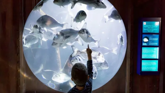 Biglietto Sea Life Speyer