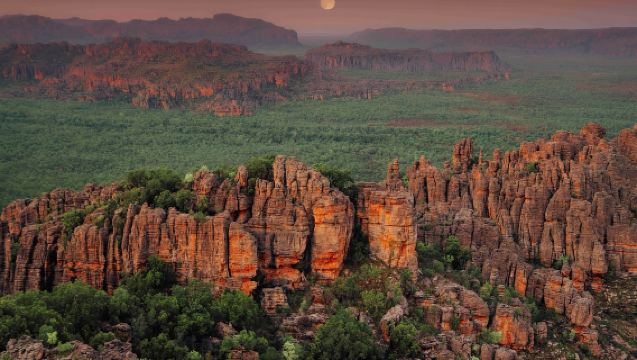 Excursión de un día al Parque Nacional Kakadu desde Darwin con servicio en inglés y transporte de ida y vuelta desde Darwin