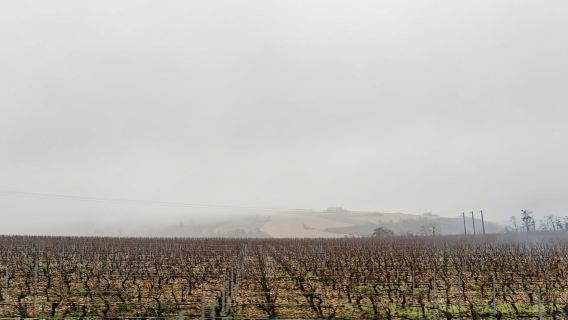 Dari Paris: Lawatan Kilang Wain Burgundy Region dengan Tastings