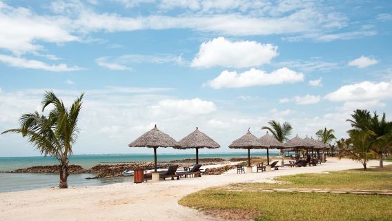 坦桑尼亞全境 旅遊陪同翻譯 展會翻譯 當地自由行地接 接機 （可私人定制）