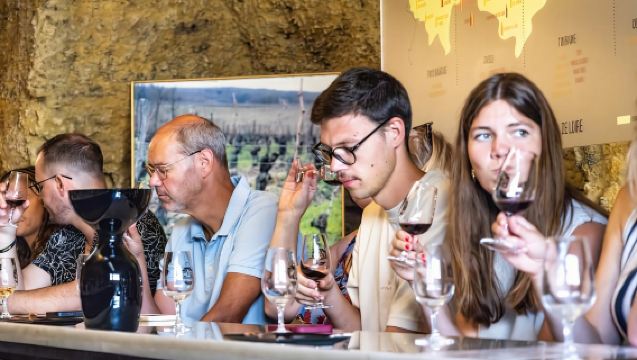 Amboise: Caves Ambacia Visit and Wine Tasting