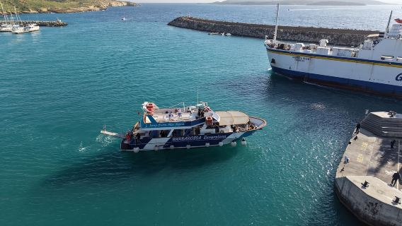 Malta: Blue lagoon, Gozo, Comino & Crystal Lagoon Sea Caves