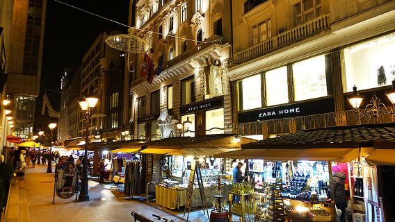 Tour giornaliero in noleggio con conducente esclusivo a Budapest, Ungheria: terme, Parco cittadino, via Váci e Ponte della libertà