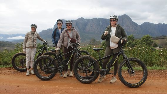 Stellenbosch: ทัวร์ไวน์ E-Bike ในหุบเขา Banhoek ในชนบท