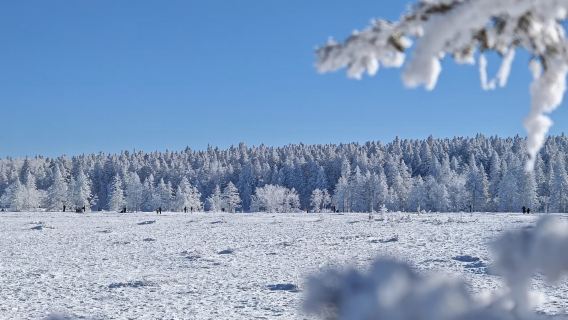 [연길출발]우리말로 떠나는 로리커호 일일투어/우리말 가이드 포함/1일투어/데이투어/로리커호 여행
