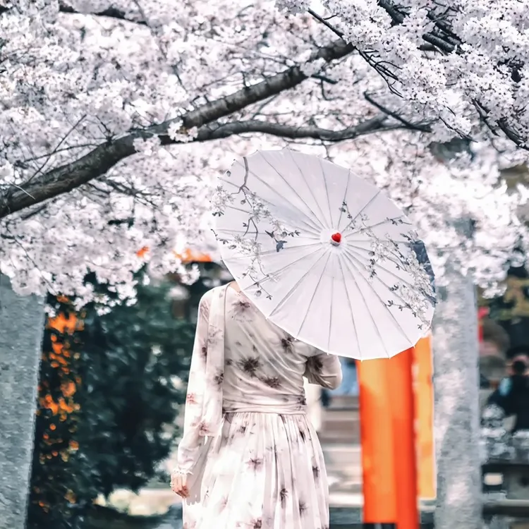 Cherry Blossom Season] Japan Fushimi Momoyama Castle + Jikkokubune