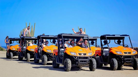 Приключение на UTV по Арубе: сад животных, северное побережье и Эндикери Бич