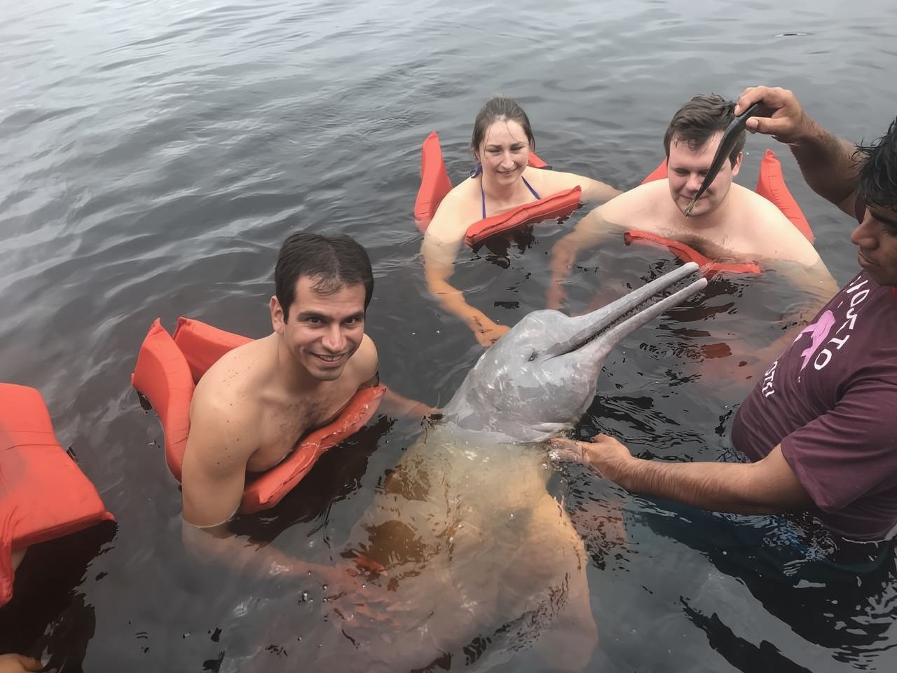 巴西 馬瑙斯出發 亞馬遜叢林徒步一日遊 12人小團/粉海豚