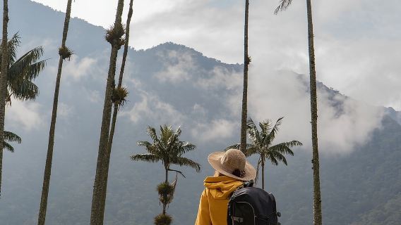 Lawatan Sehari Menunggang Kuda Lembah Cocora dan Salento
