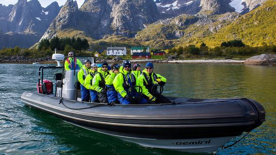 Sea Eagle Safari from Svolvær to Trollfjorden