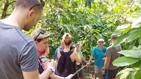 Chocolate and Coffee Tour Farm Don Jorge