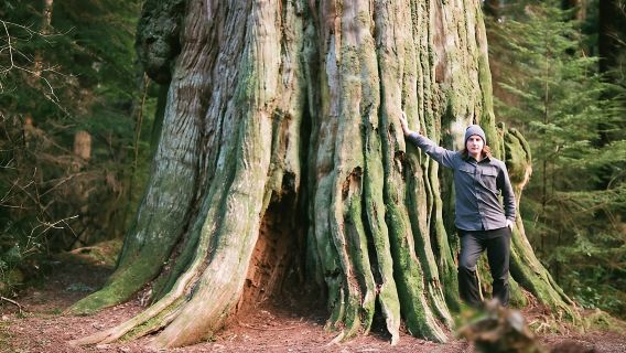 West VancouverTours
