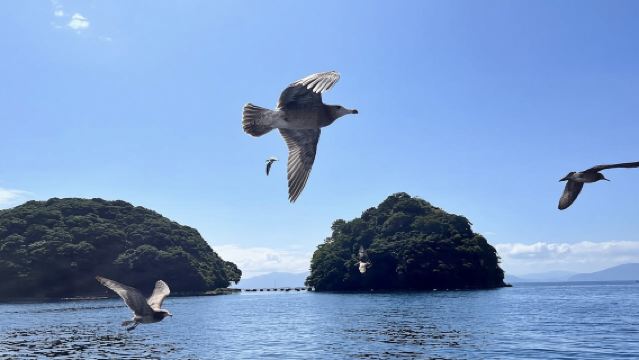 日本京都-伊根町-伊根的舟屋-伊根灣【中文專車 舒適純淨】