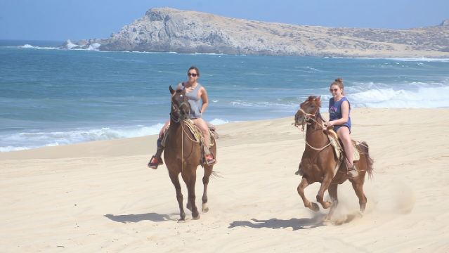 Cabo White Sand Horseback Riding Tour and Tequila Tasting 
