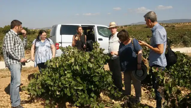 Private Wine Tour with Wine Tasting and Full Lunch (day trip)