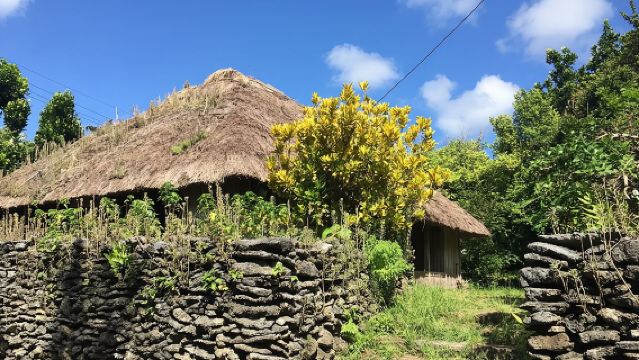 Descubre la cultura de Iriomote. La cultura indígena de la isla de Iriomote