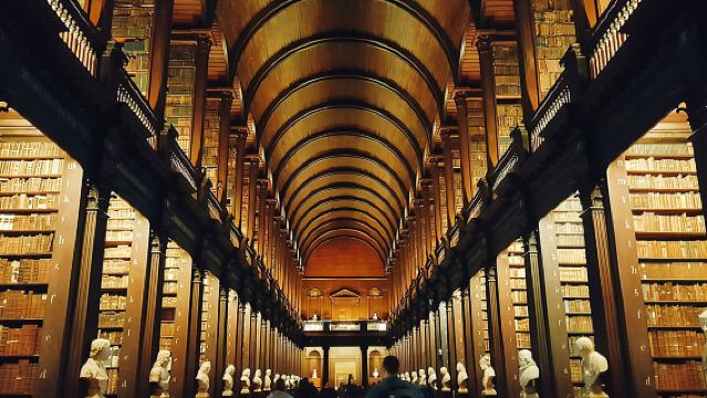 Tour guiado por el Libro de Kells, el Castillo y la Estatua de Molly Malone en Dublín