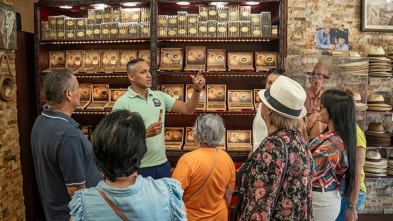 Miami en 3,5 horas: Recorrido turístico, tradiciones y fotografía