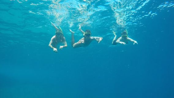 Tijuca Islands Snorkeling & Whale Watching Boat Tour from Rio