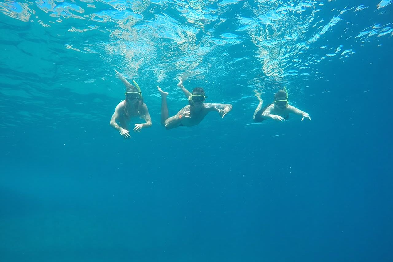 Schnorchel- und Walbeobachtungs-Bootstour zu den Tijuca-Inseln ab Rio