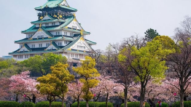 ทัวร์อาหารส่วนตัว 6 ชั่วโมง ต้นทางจากปราสาทโอซะกะ, ตลาดคุโรมง, ด็อทงโบริ